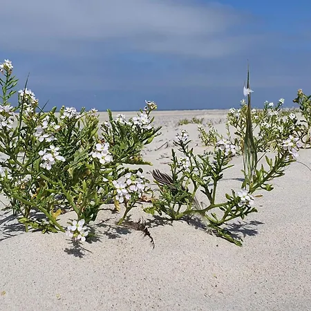 Holiday home 4 Person In Norre Nebel