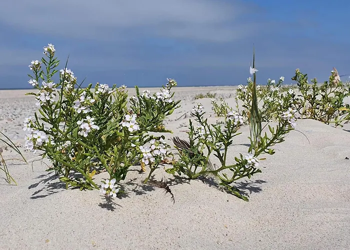 펜션 4 Person In Nørre Nebel